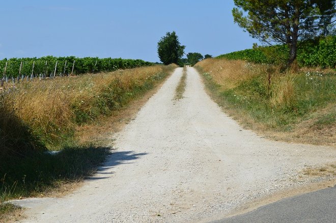 DSC_1398.JPG