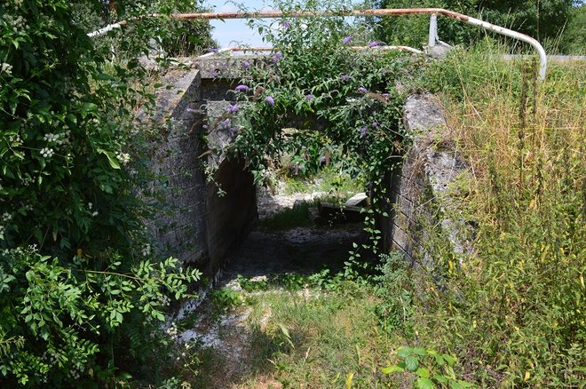 DSC_1414.JPG