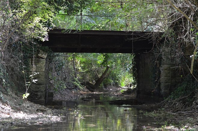 5 DSC_1424.JPG