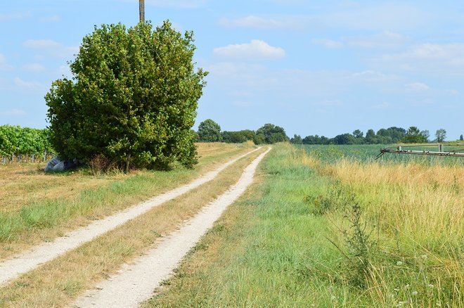 7 DSC_1435.JPG