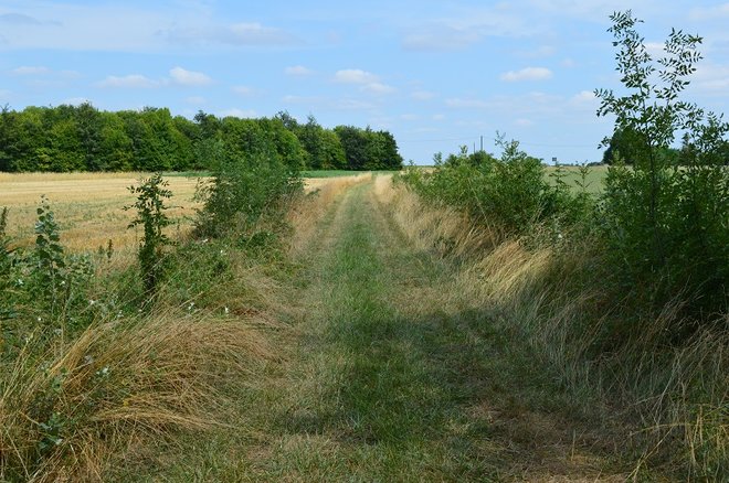 8 DSC_1433.JPG