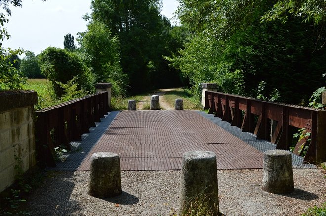 10 DSC_1431.JPG