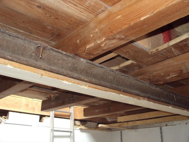 DSC02501.jpg