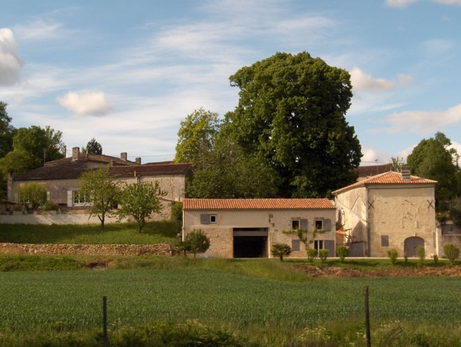CFD ST SULPICE Peuyon 015 - Copie.jpg