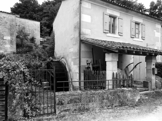 DSCN3435 - Copie.JPG