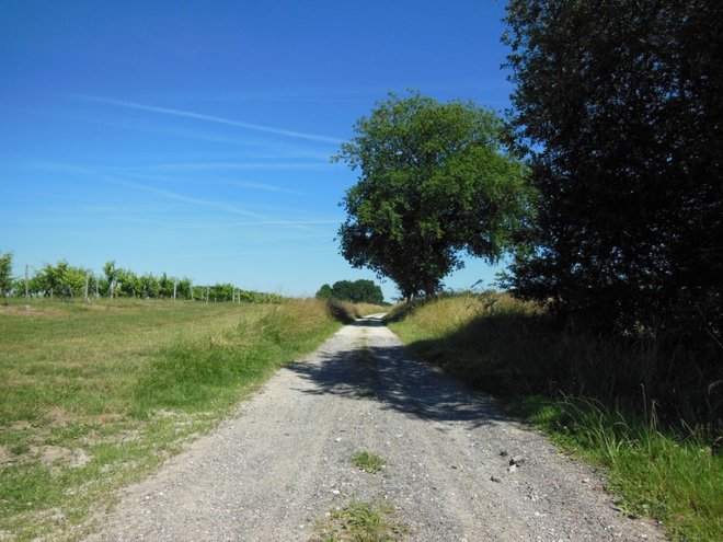 DSCN3267.JPG