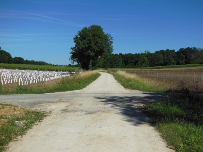 DSCN3280.JPG