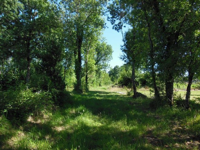 DSCN3283.JPG