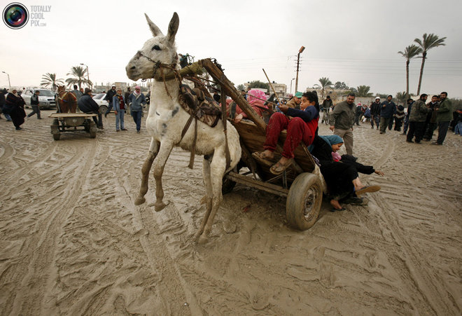 photoinso-charger-la-mule-03.jpg