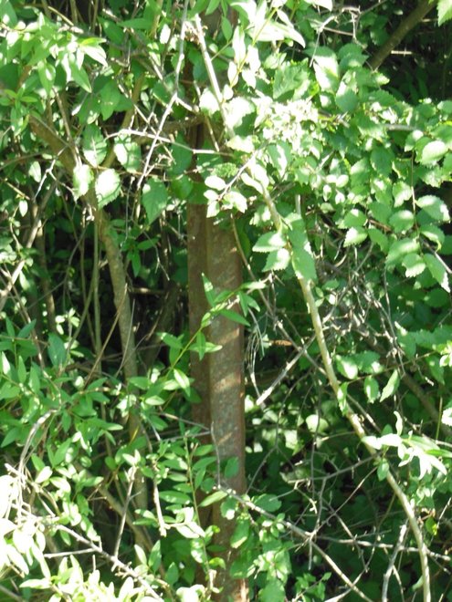 DSCN3300.JPG