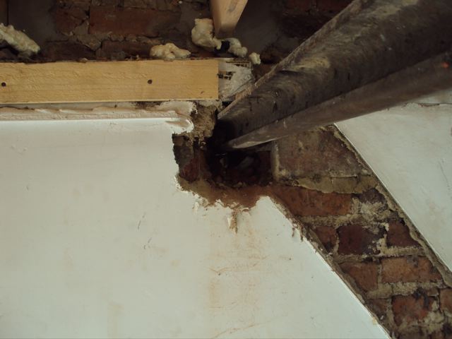 DSC02513.jpg