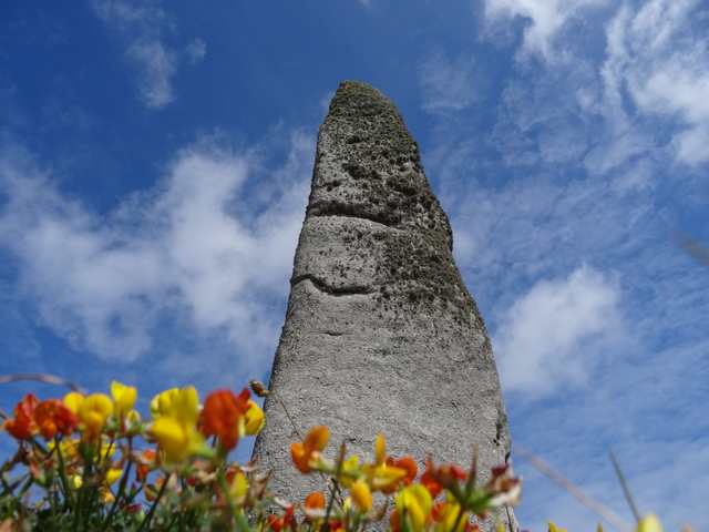 grand menhir  Kernic.jpg