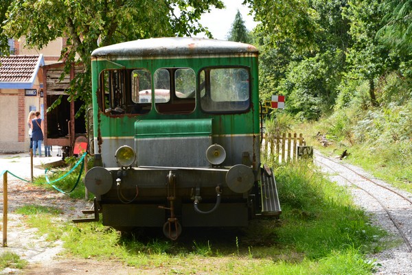DSC_0185_3.jpg
