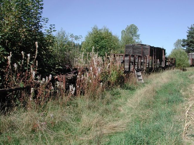 03_09 vfv j du patrimoine 21.jpg
