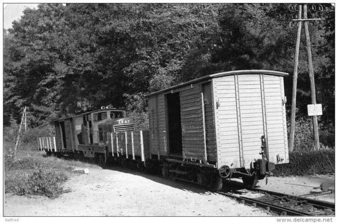 81 - CHEMINS DE FER DEPARTEMENTAUX DU TARN . TRAIN EN CIRCULATION.jpg