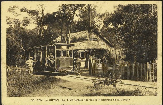 17 - Forêt de la Coubre3.JPG