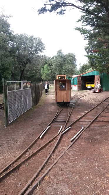 tram (3).jpg