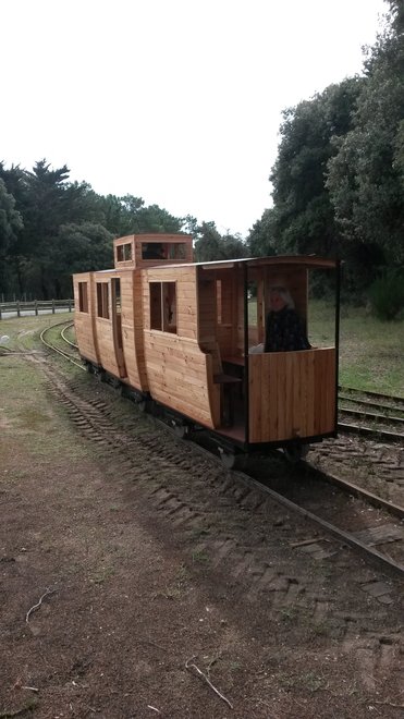 tram (4).jpg