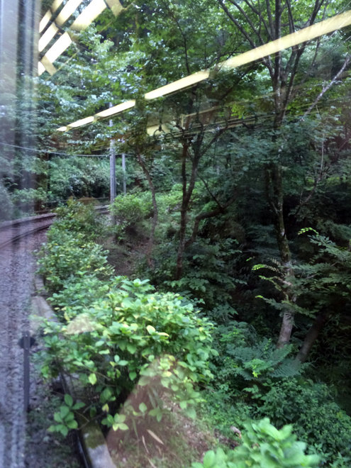 IMG2015_HK#009b.jpg
