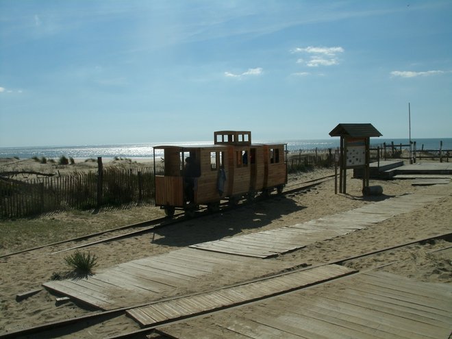 GEDC0246.JPG