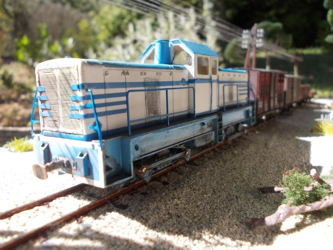 DSCN1178.jpg