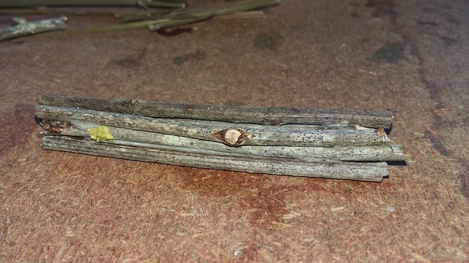 20150923_171519 (1280x720).jpg
