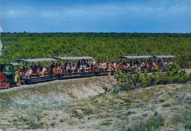 17 - PETIT TRAIN TOURISTIQUE DE SAINT TROJAN ILE D'OLERON.jpg