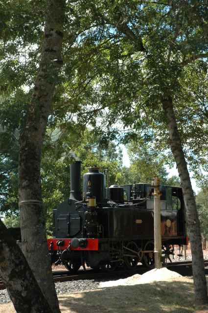 2010-08-05-01.JPG