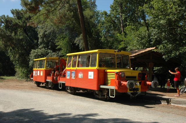 2010-08-06-02.JPG
