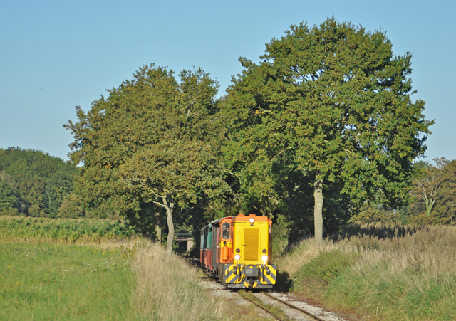 DSC_0202.jpg