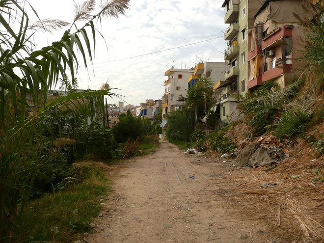 P1080162.jpg