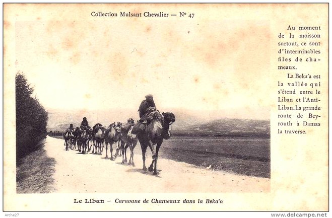 94 - Liban bekaa.jpg