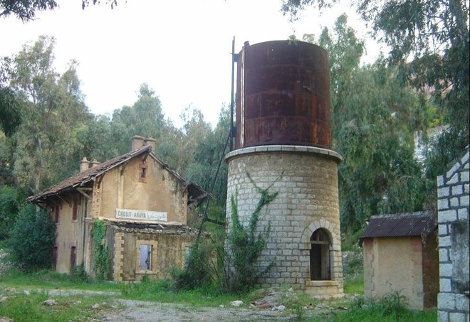 102 - Chouit-Araya 5.jpg