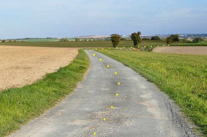 3 DSC_1873.JPG