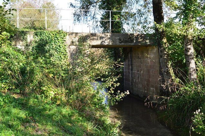 10 DSC_1865.JPG