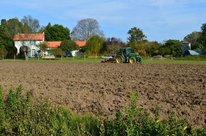 12 DSC_1862.JPG