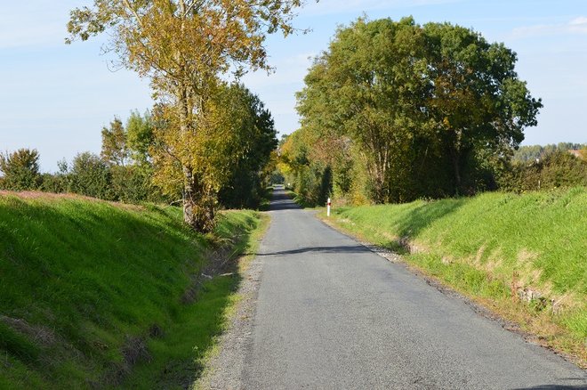 16 DSC_1852.JPG