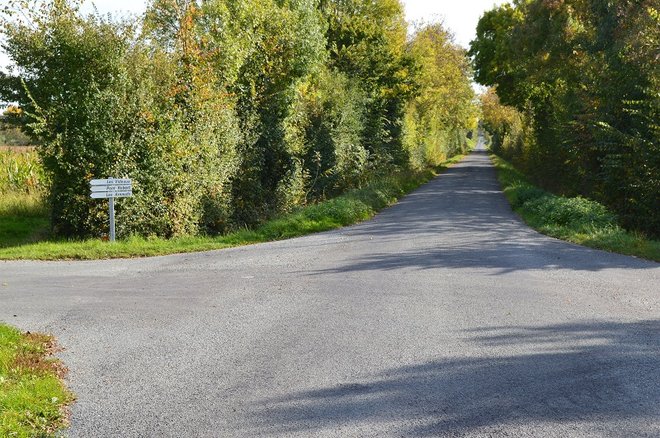 17 DSC_1849.JPG