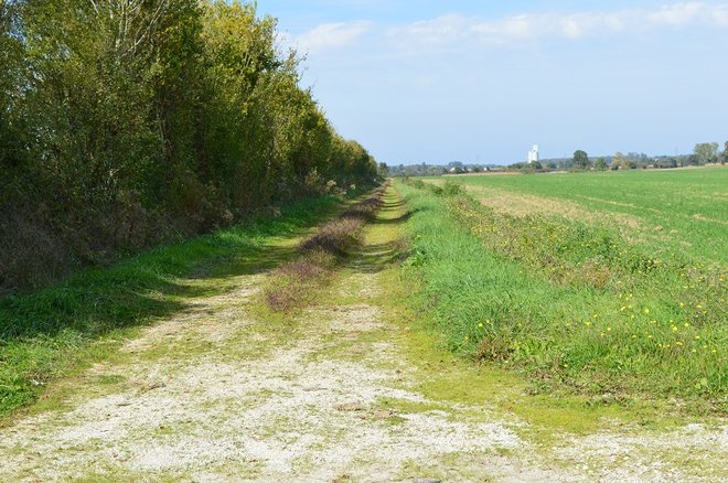 26 DSC_1837.JPG