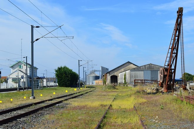 51 DSC_1796.JPG