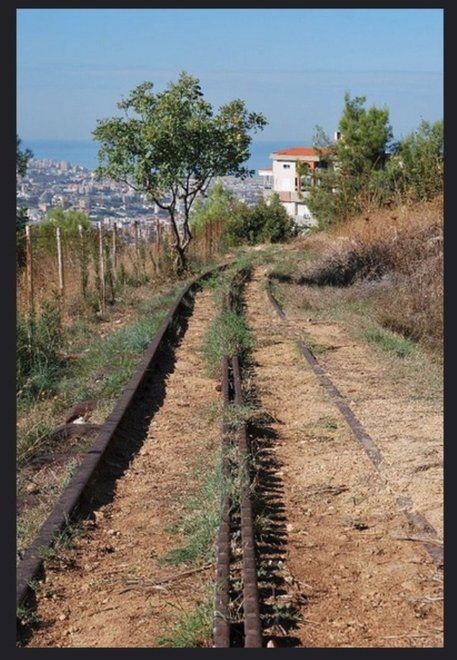 104 - Baabda forest 1 - Cl. Muslima 2006.jpg