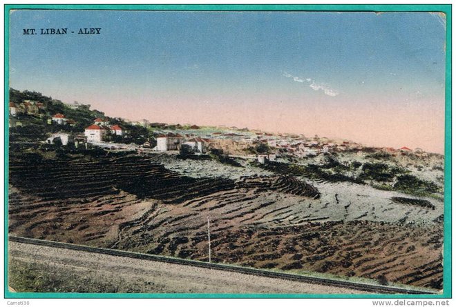 111 - Aley 2.jpg