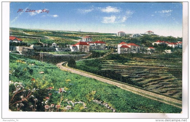 113 - Aley 1.jpg