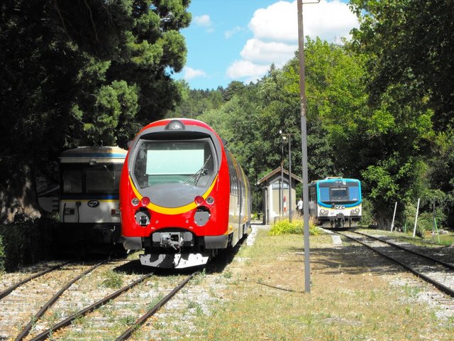 Alpes de Haute Provence 2010 176.jpg