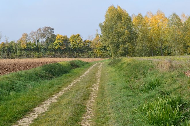 13 DSC_1932.JPG