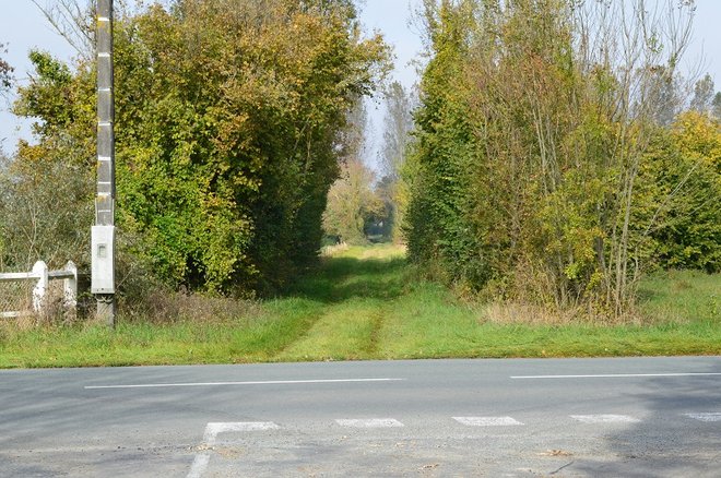 19 DSC_1937.JPG