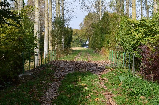 20 DSC_1939.JPG