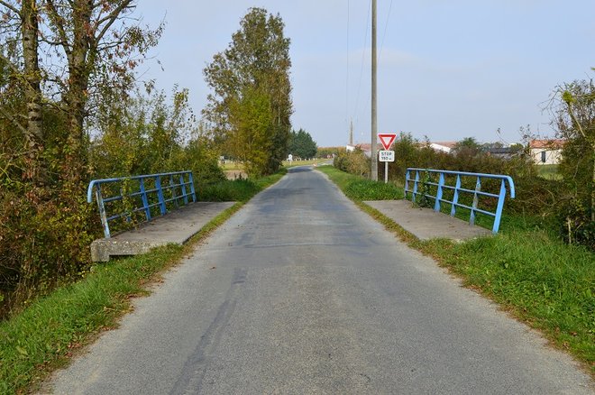 29 DSC_1949.JPG