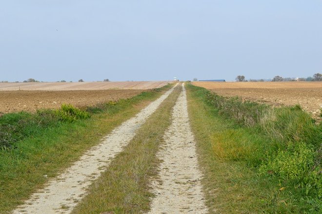 31 DSC_1952.JPG