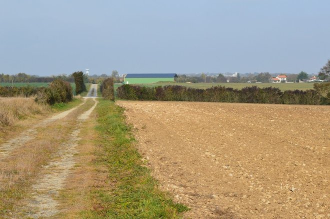 32 DSC_1953.JPG
